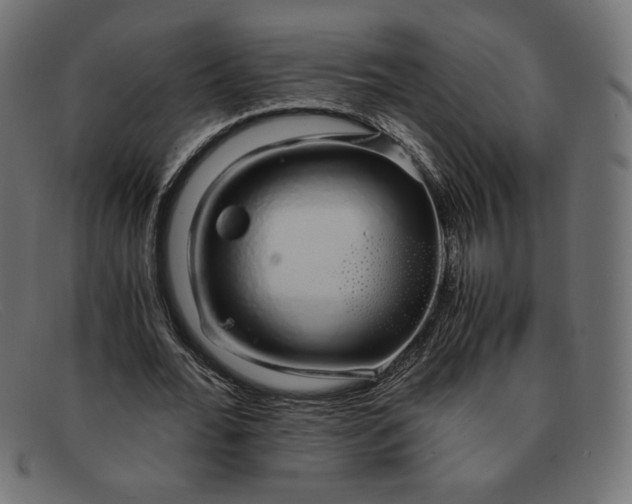 X0000091860676200709191116