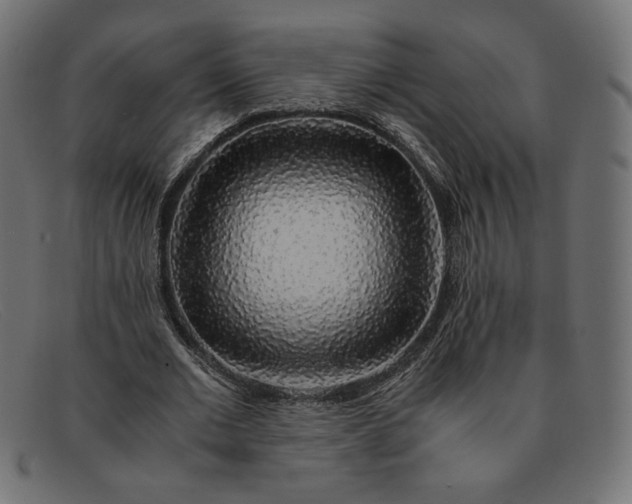 X0000091860677200709191116