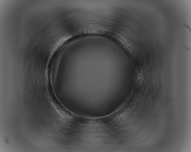 X0000091860678200709191116