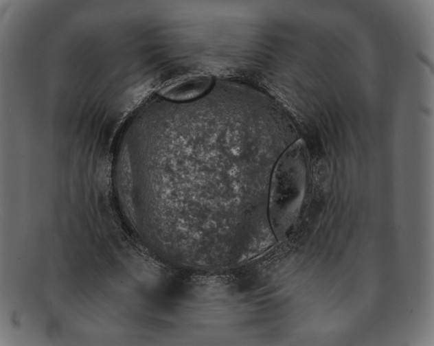 X0000091860679200709191116