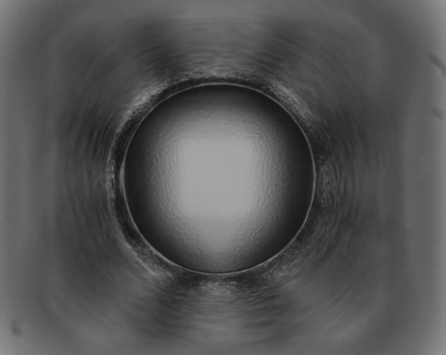 X0000091860680200709191116