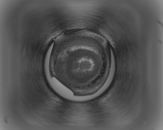 X0000091860681200709191116