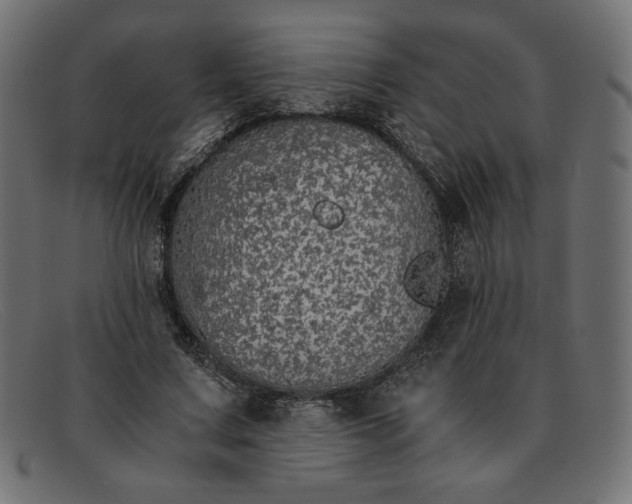 X0000091860683200709191116