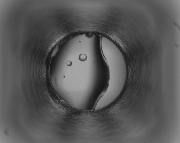 X0000091860684200709191116