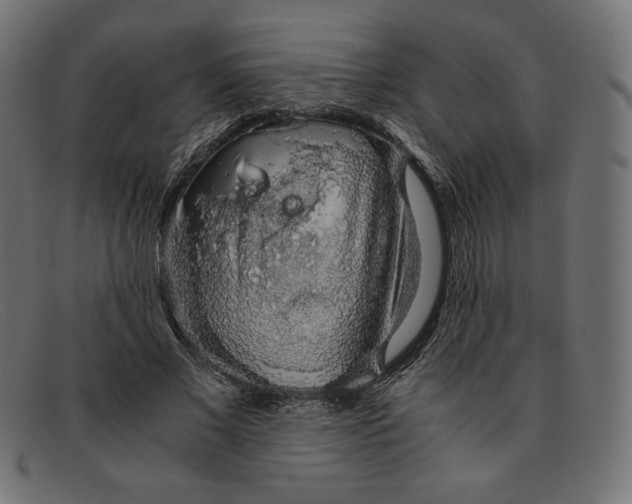 X0000091860685200709191116