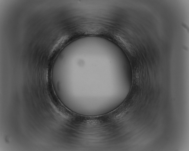 X0000091860686200709191116