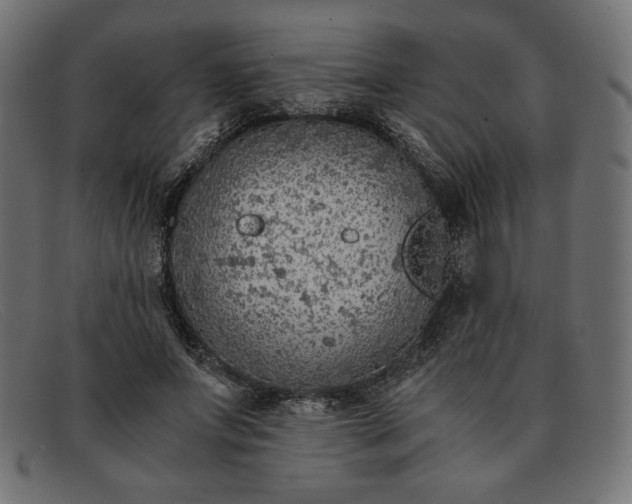 X0000091860687200709191116