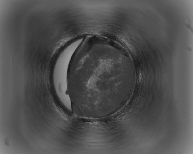 X0000091860688200709191116