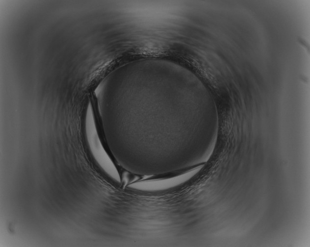 X0000091860689200709191116