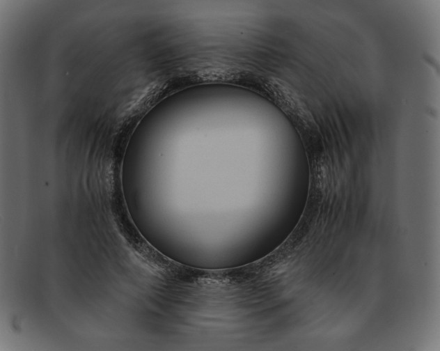 X0000091860690200709191116