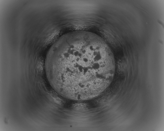 X0000091860691200709191116