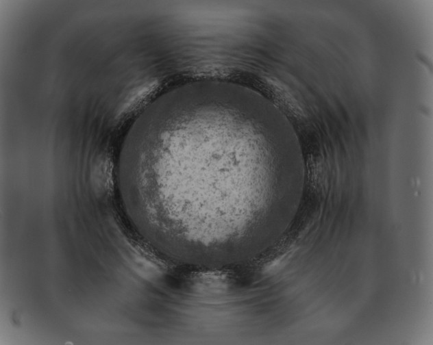 X0000091860692200709191116