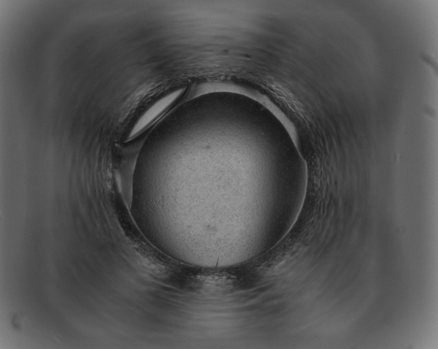 X0000091860693200709191116