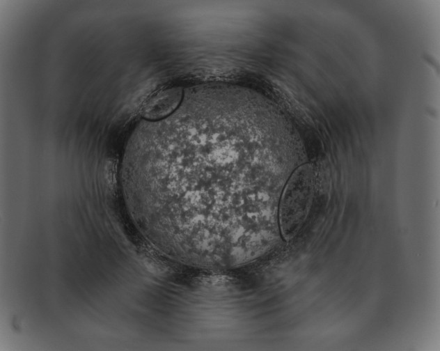 X0000091860695200709191116