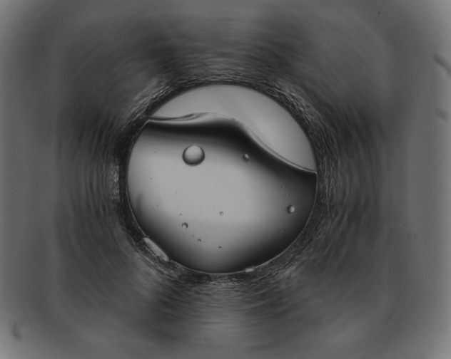 X0000091860696200709191116