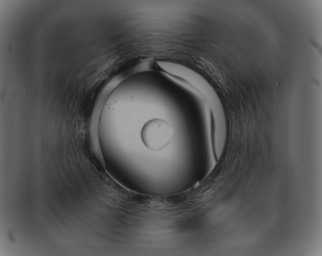 X0000091860697200709191116