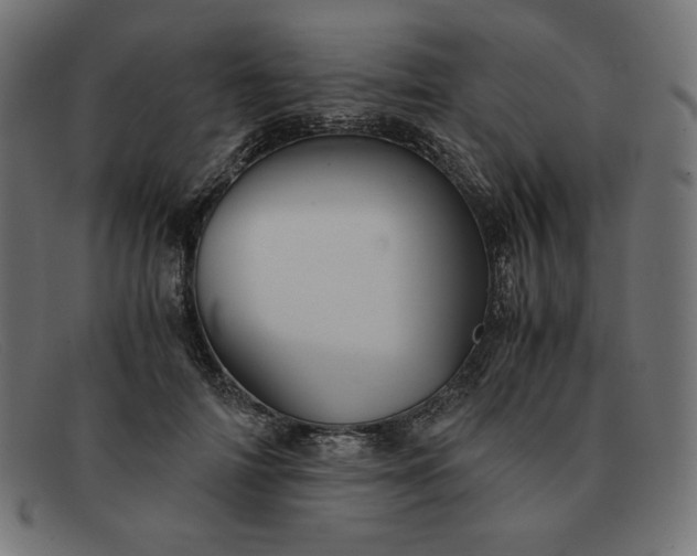 X0000091860698200709191116