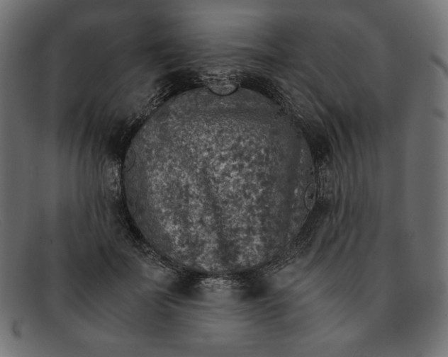 X0000091860699200709191116