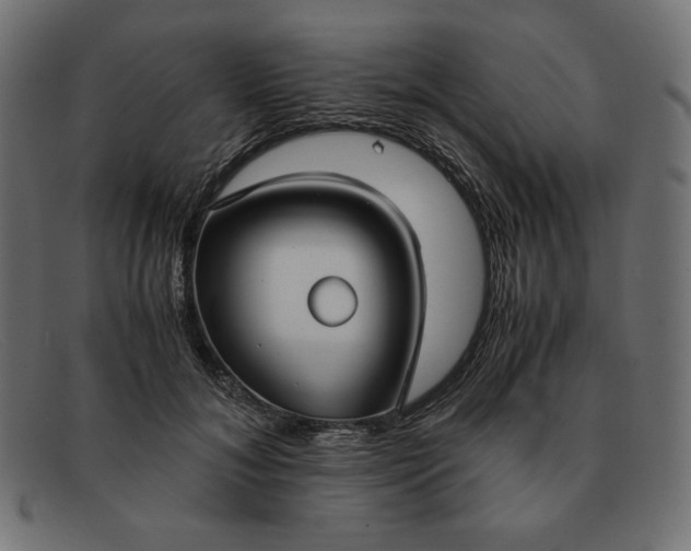 X0000091860700200709191116