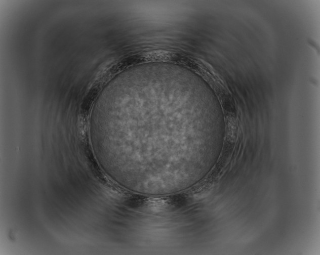 X0000091860701200709191116