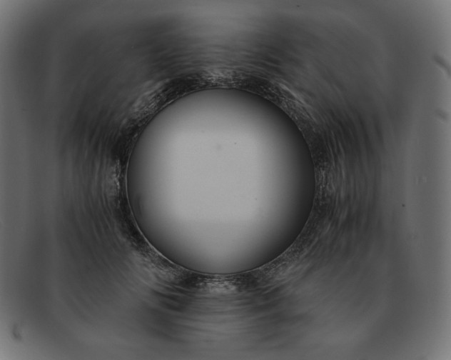 X0000091860702200709191116