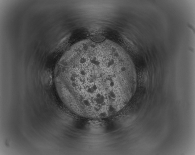 X0000091860703200709191116