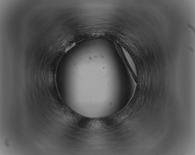 X0000091860704200709191116