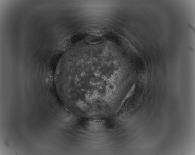 X0000091860707200709191116