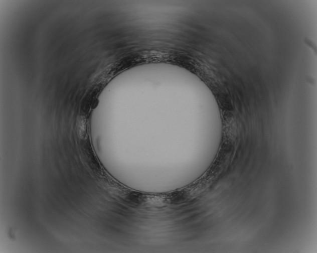 X0000091860709200709191116