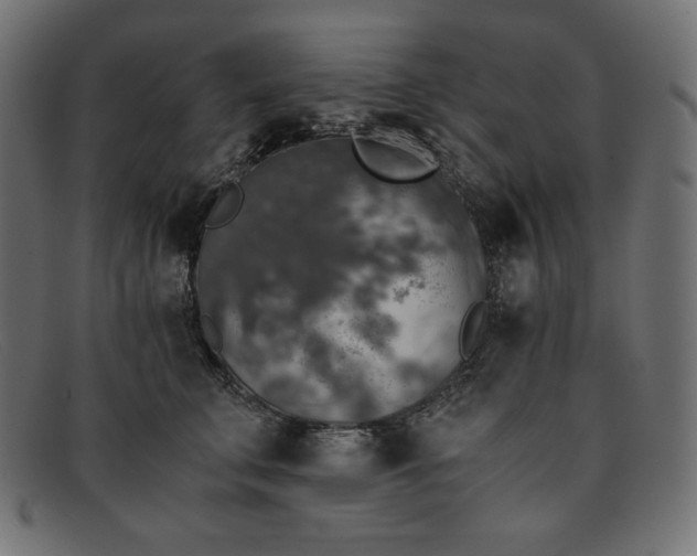 X0000091860711200709191116