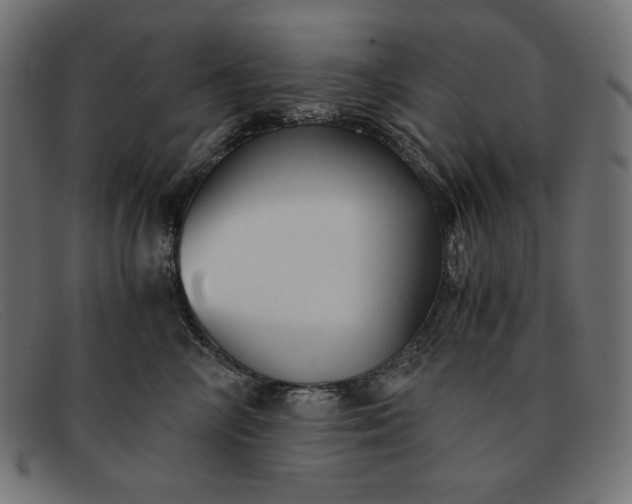 X0000091860714200709191116