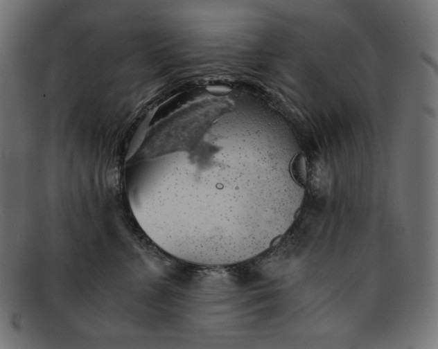 X0000091860715200709191116