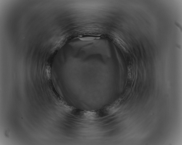 X0000091860718200709191116