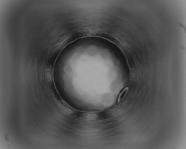 X0000091860719200709191116