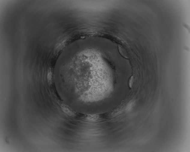 X0000091860720200709191116