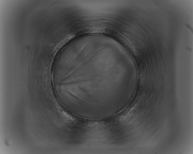 X0000091860721200709191115