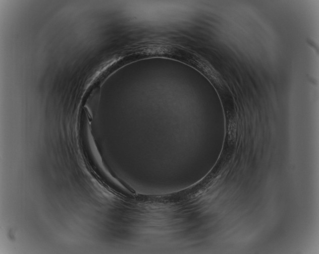 X0000091860722200709191115