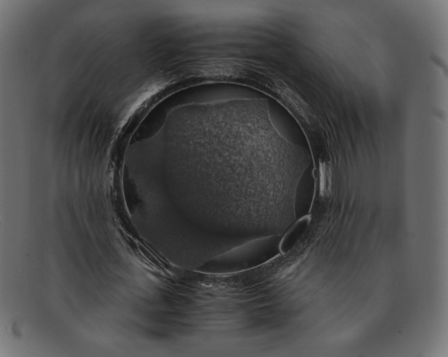 X0000091860723200709191115