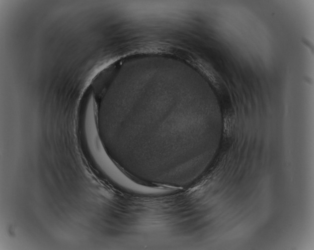 X0000091860724200709191115