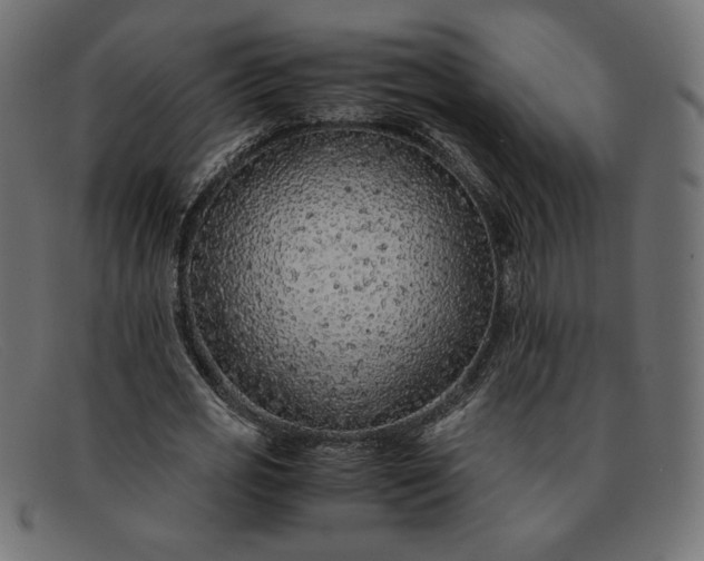 X0000091860725200709191115