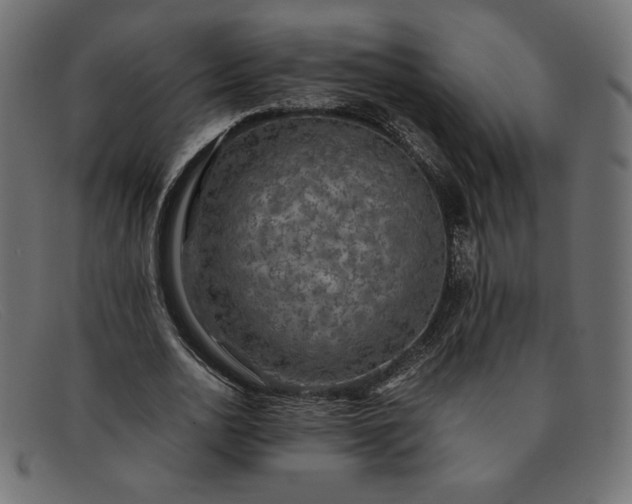 X0000091860726200709191115