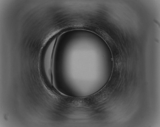 X0000091860728200709191115