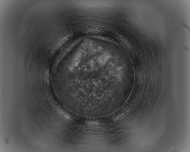 X0000091860729200709191115