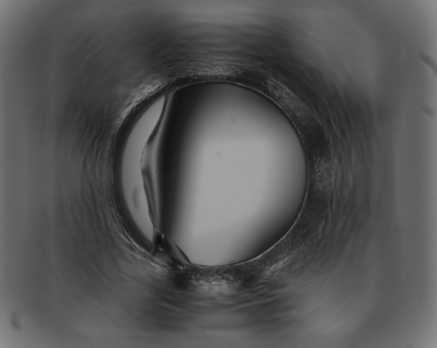 X0000091860731200709191115