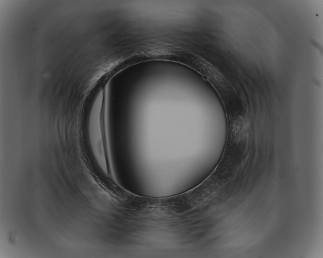 X0000091860732200709191115