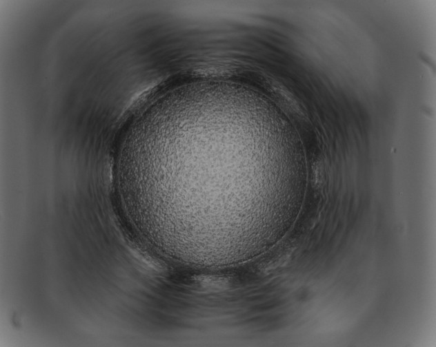 X0000091860733200709191115