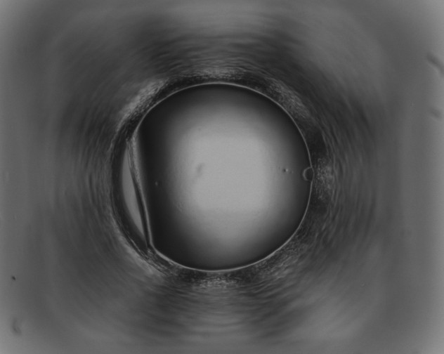 X0000091860734200709191115