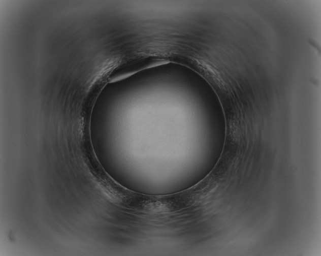 X0000091860735200709191116