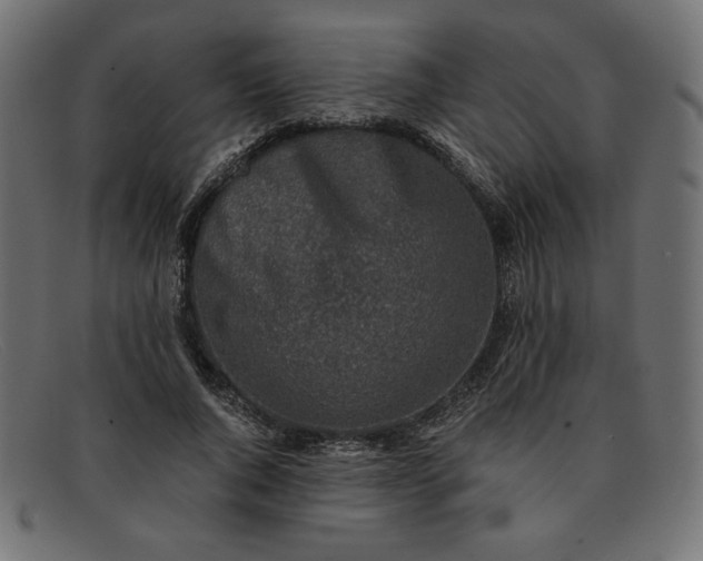 X0000091860736200709191116