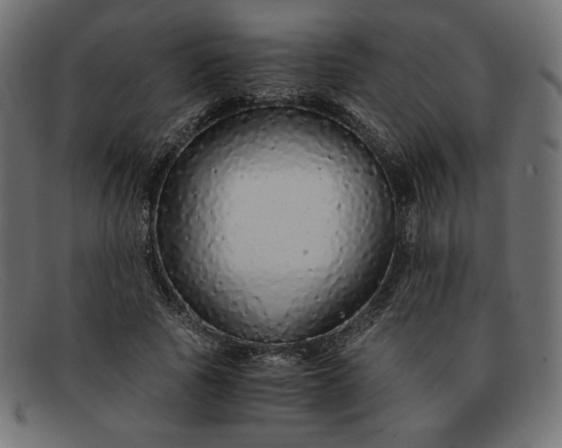 X0000091860737200709191116